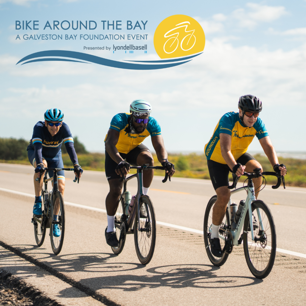 Galveston Bay Foundation Guardian of Galveston Bay since 1987