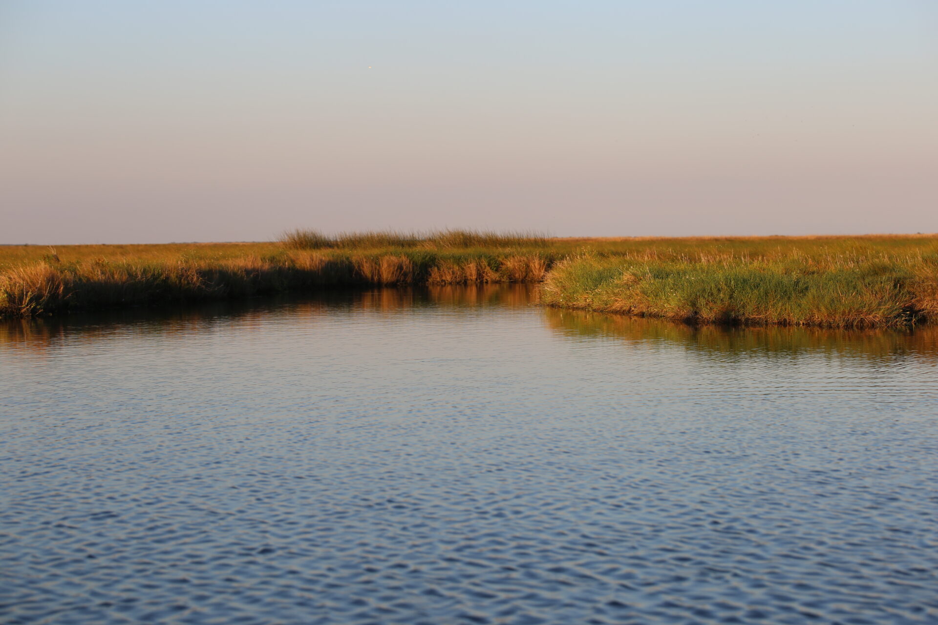 Galveston Bay Foundation Guardian of Galveston Bay since 1987