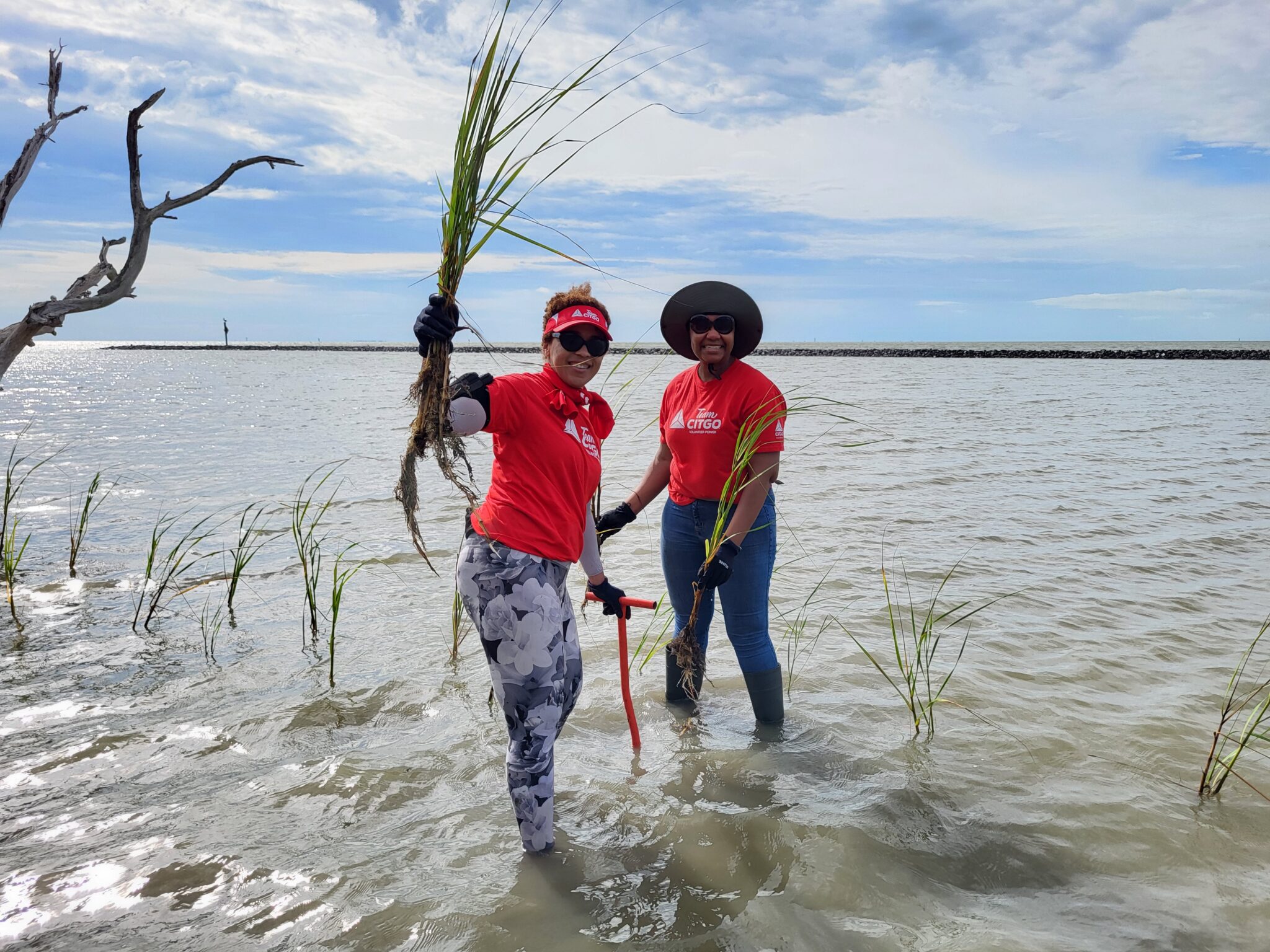 Galveston Bay Foundation Guardian of Galveston Bay since 1987