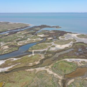 Galveston Bay Foundation – Guardian of Galveston Bay since 1987