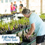 Native plant sale