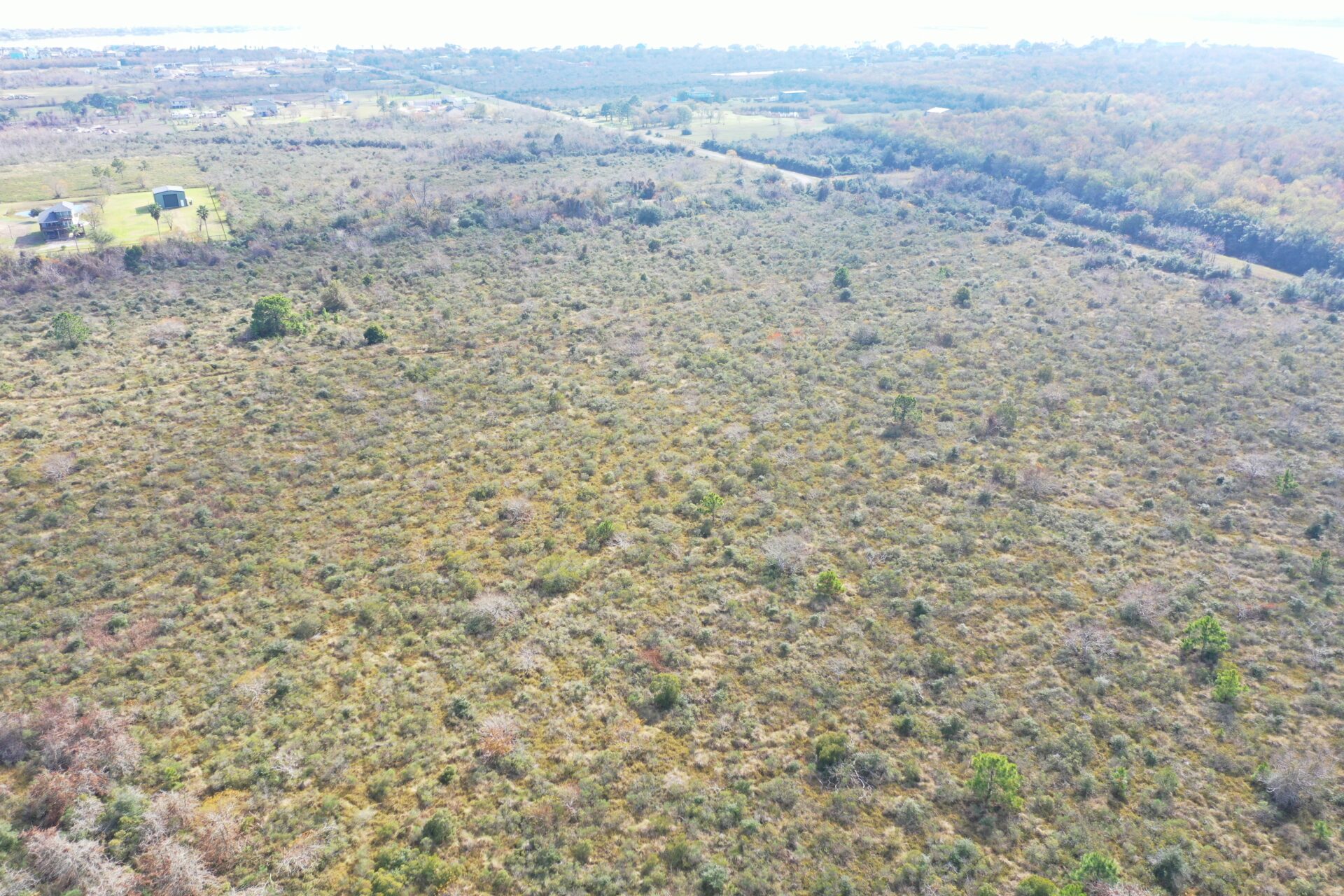 Salt Bayou Preserve