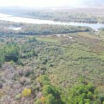 Salt Bayou Preserve