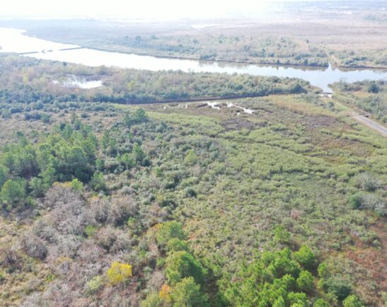 Salt Bayou Preserve