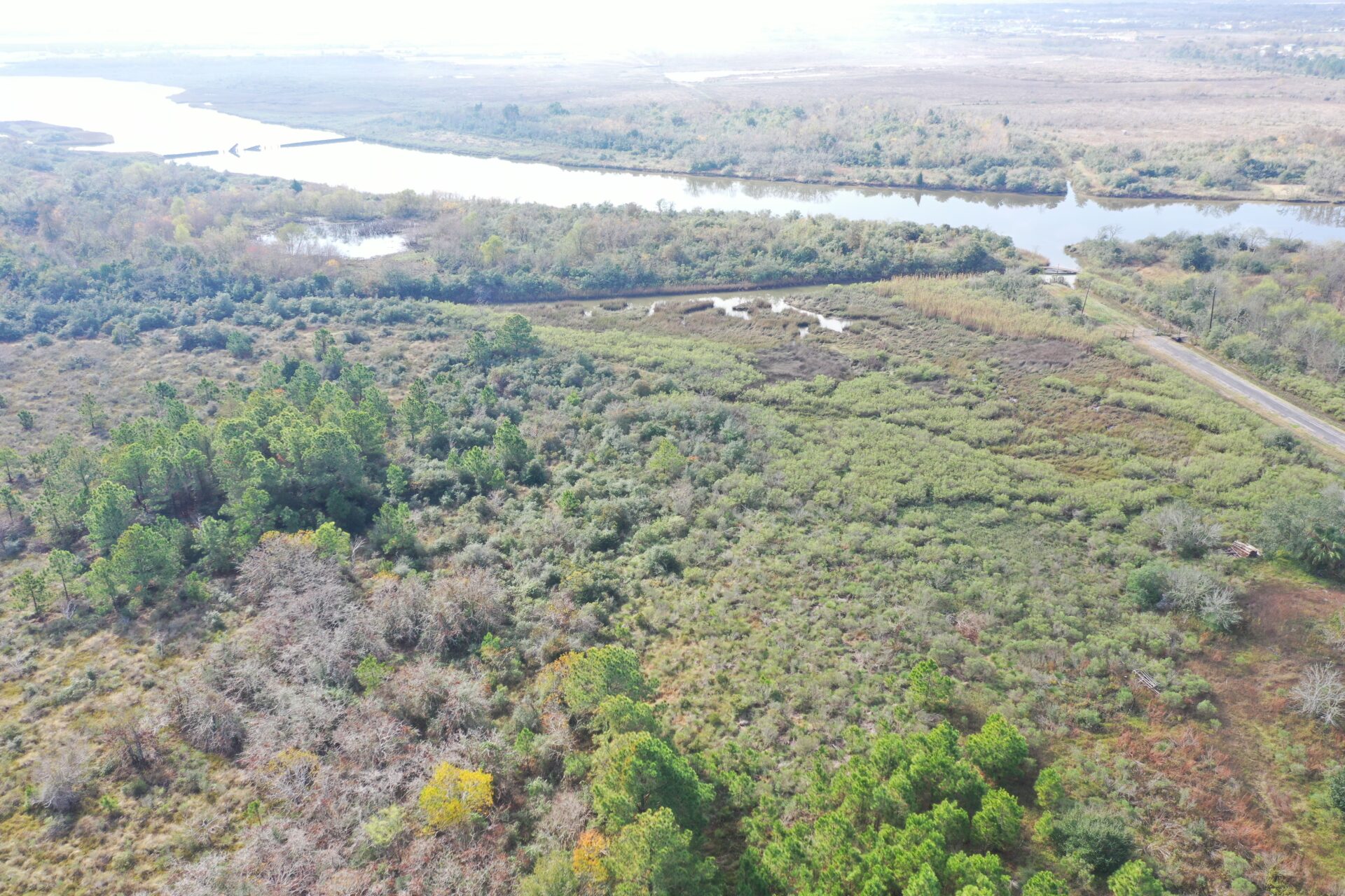 Salt Bayou Preserve