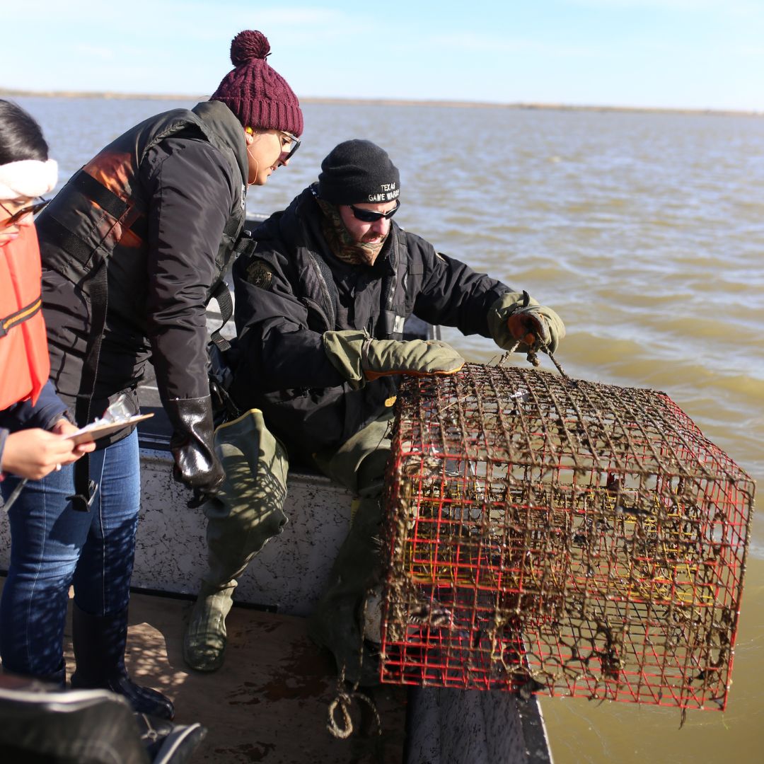 Abandoned Crab Trap Removal