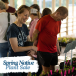 Spring Native Plant Sale