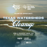 Texas Watersheds Cleanup