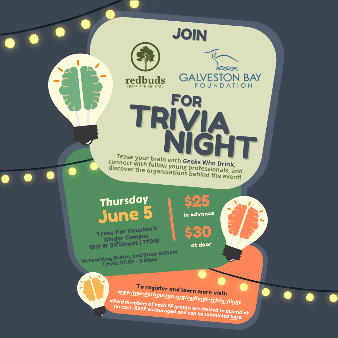 Trivia Night Flyer