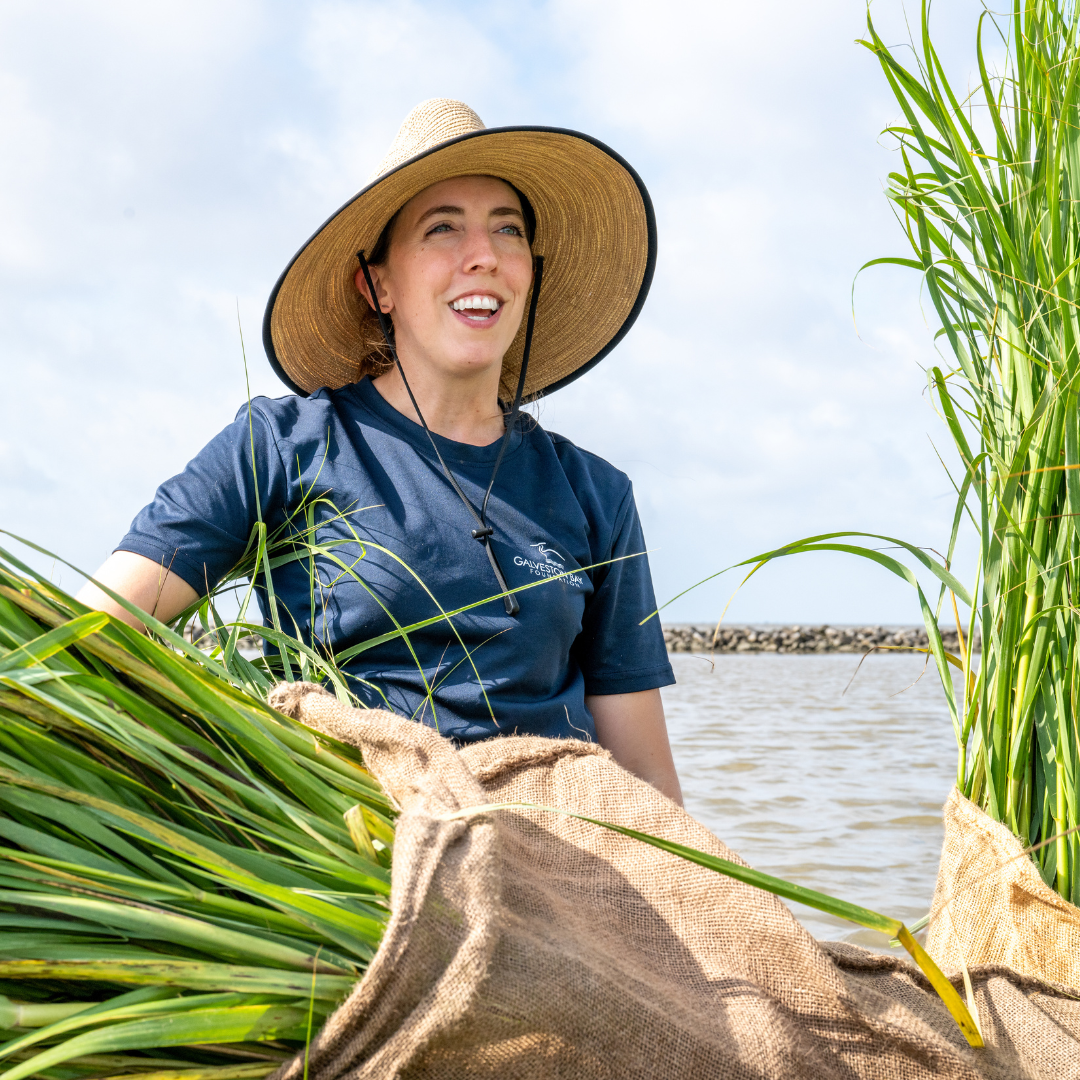 Marsh Mania