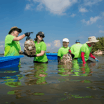 Oyster Reef Restoration Volunteers