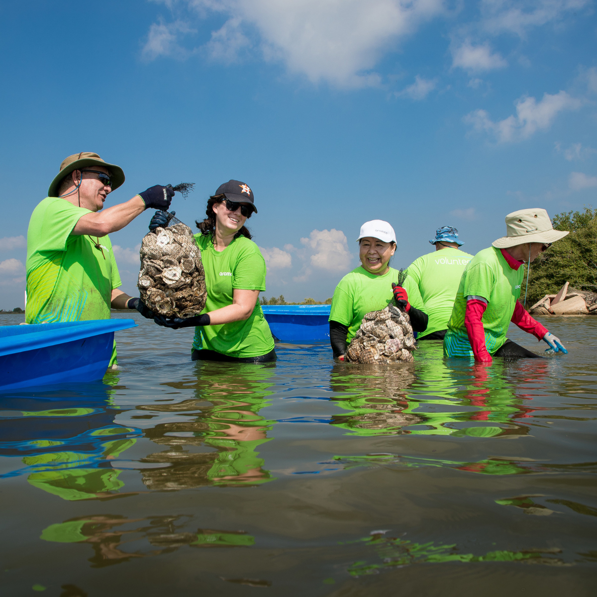 Oyster Reef Restoration Volunteers