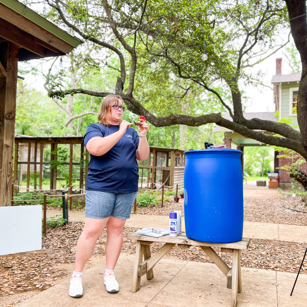 Rain Barrel Workshop