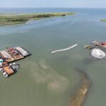 Jones Bay Oystercatcher Habitat Restoration Project